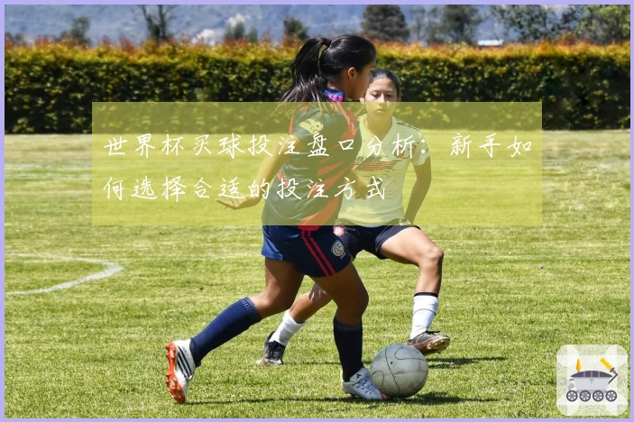世界杯买球投注盘口分析：新手如何选择合适的投注方式
