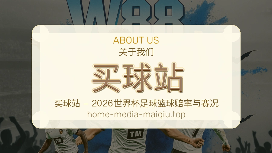 关于 买球站 团队与服务